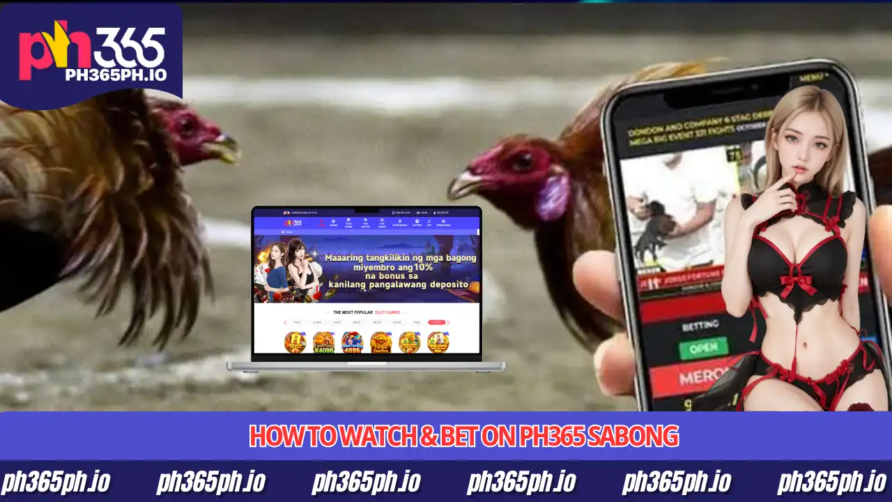PH365 Sabong Live 2 How to Watch & Bet on PH365 Sabong