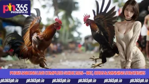 PH365 Sabong Live Complete Guide 2026 - Bet, Odds & Winning Strategies
