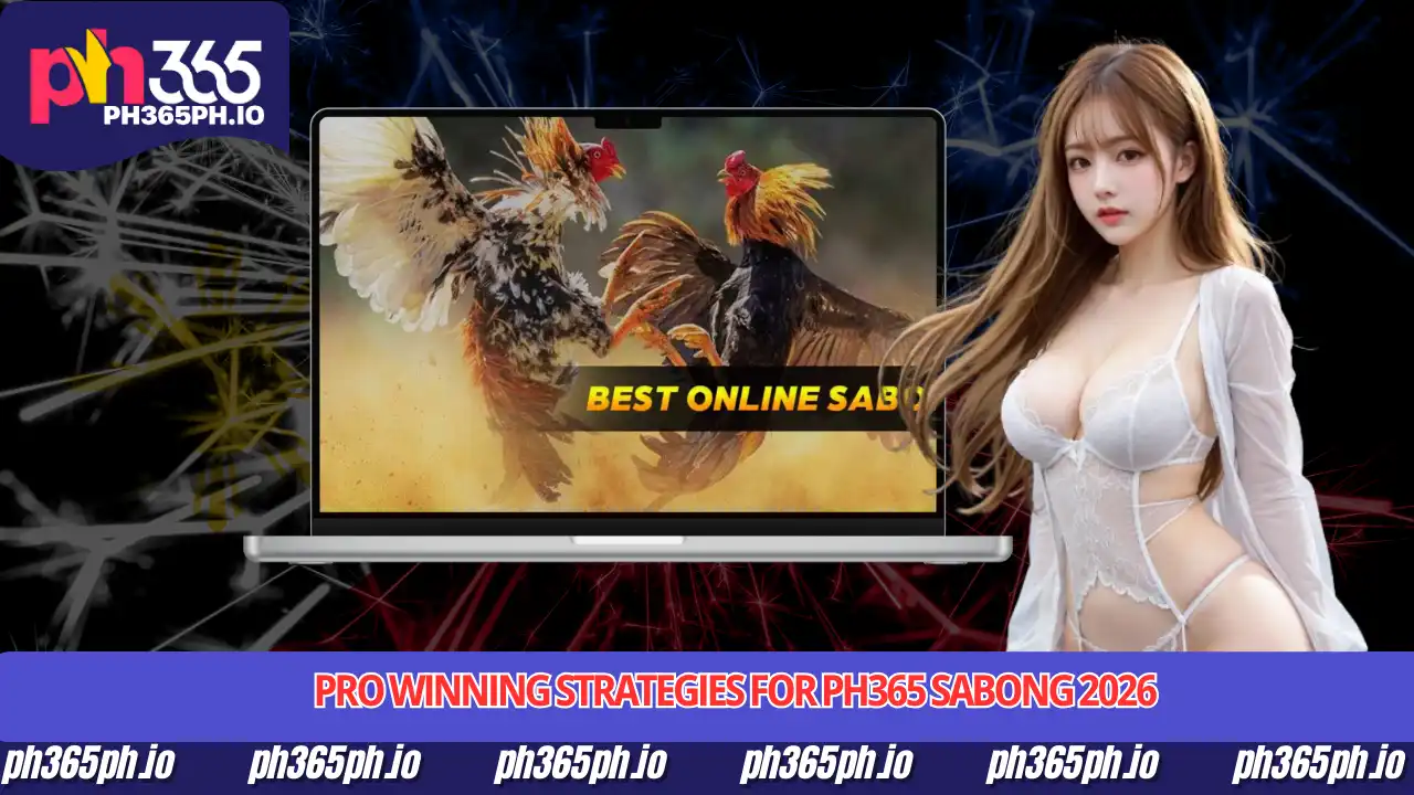 Pro Winning Strategies for PH365 Sabong 2026